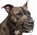 Bozal para Perro con Canastilla Metálica – Seguro, Ventilado y Ajustable