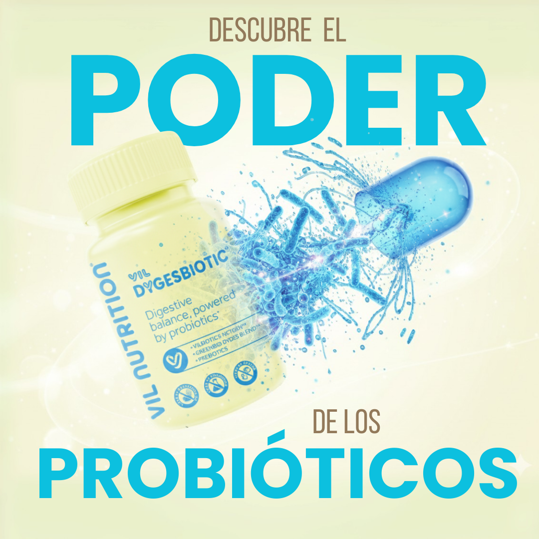 VIL DYgesBiotic — Suplemento Digestivo con Probióticos y Prebióticos